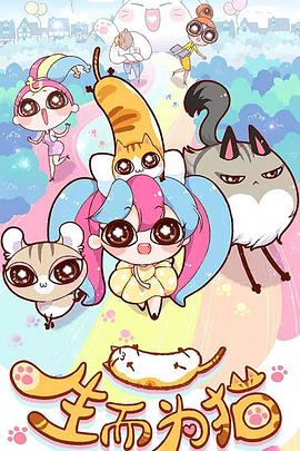 郑州seo网站优化外包